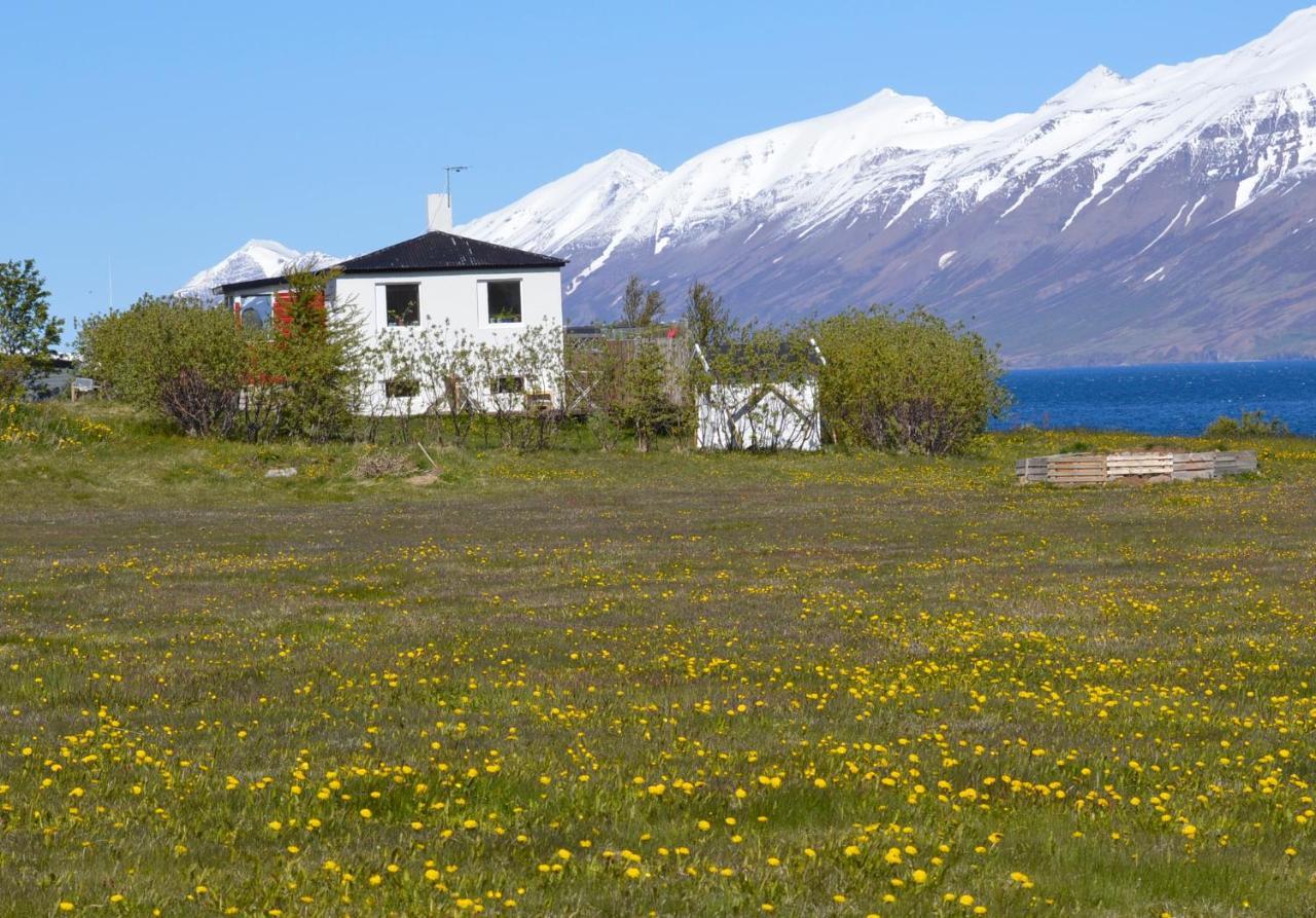 L&L Bnb - Stay'In Arbakki Arskogssandur Buitenkant foto